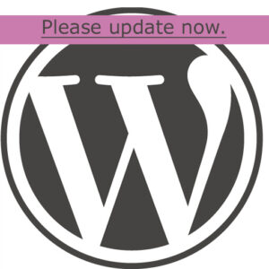You can update WordPress yourself