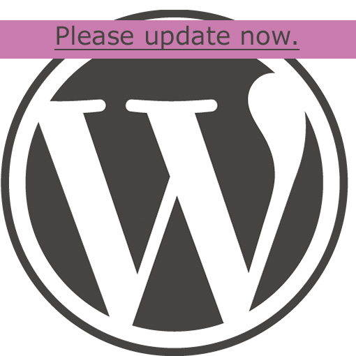 You can update WordPress yourself