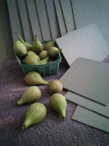 Figs and panels in the studio of oil painter Julie Holmes Raleigh NC