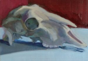 Goat skull color study by Julie Dyer Holmes, fine artist, Raleigh, NC 2017