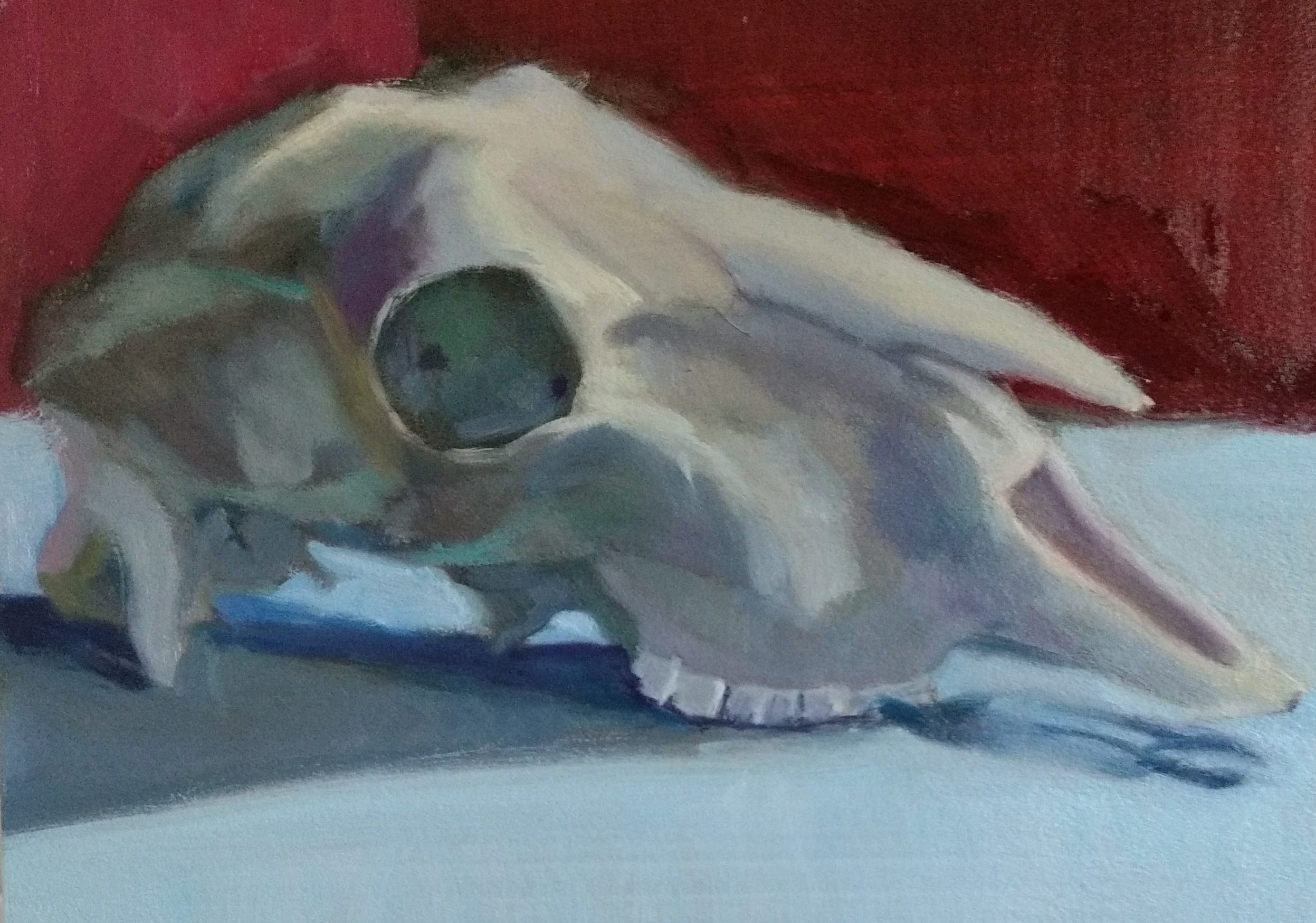 Goat skull color study by Julie Dyer Holmes, fine artist, Raleigh, NC 2017