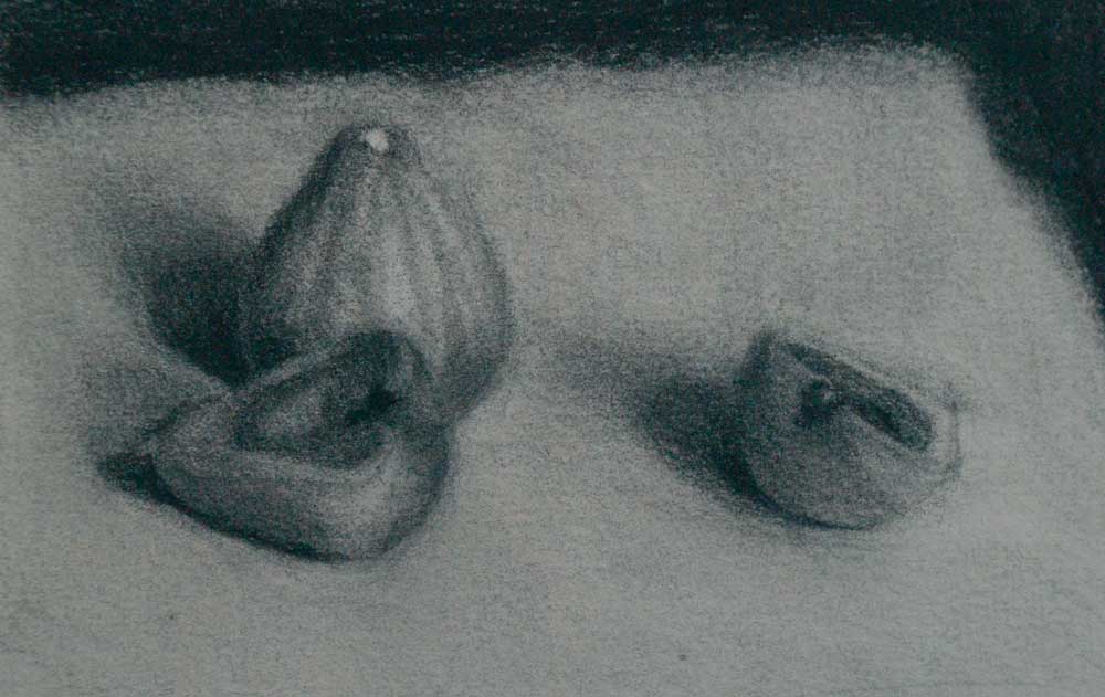 Shady Characters, Charcoal drawing by Julie Dyer Holmes