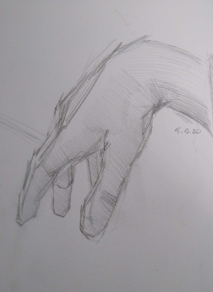 Hand drawing side view in graphite by Julie Dyer Holmes Fine Artist 2020