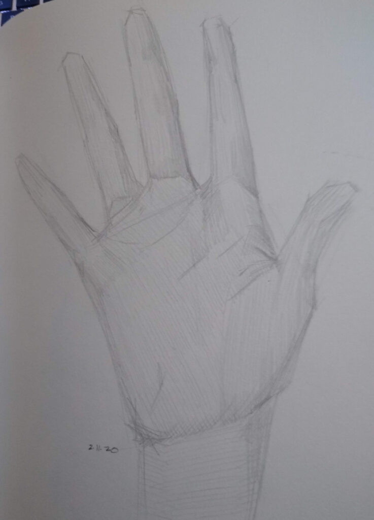 Simple palmar hand drawing in graphite by Julie Dyer Holmes Fine Artist in Raleigh NC 2020