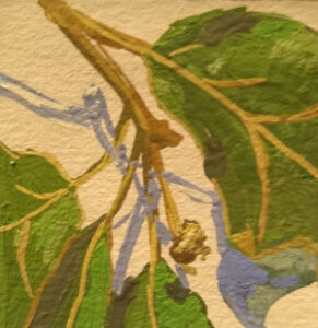 Overcup oak leaf painting by Julie Dyer Holmes