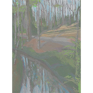 Revealing Raleigh - Exploring Real and Imaginary Landscapes by Julie Dyer Holmes