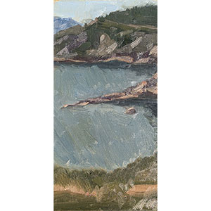 The-View-from-Meat-Cove-6x12-oil-painting-on-panel-by-Julie-Dyer-Holmes
