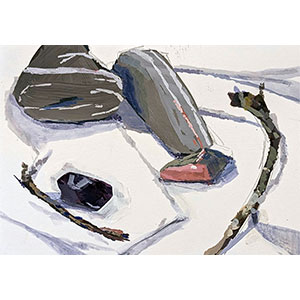 Rocks, Sticks and Reversing Falls